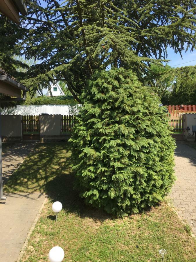 Apartament Andre & Moni Balatongyörök Zewnętrze zdjęcie